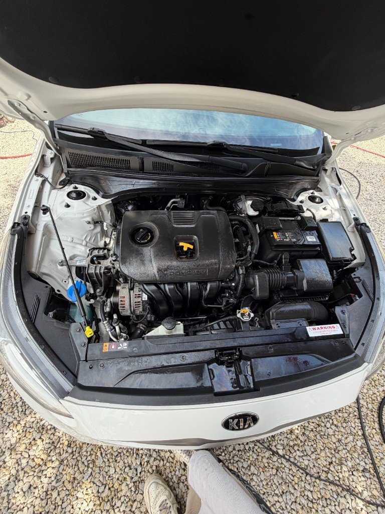 Cleaned and dressed engine bay
