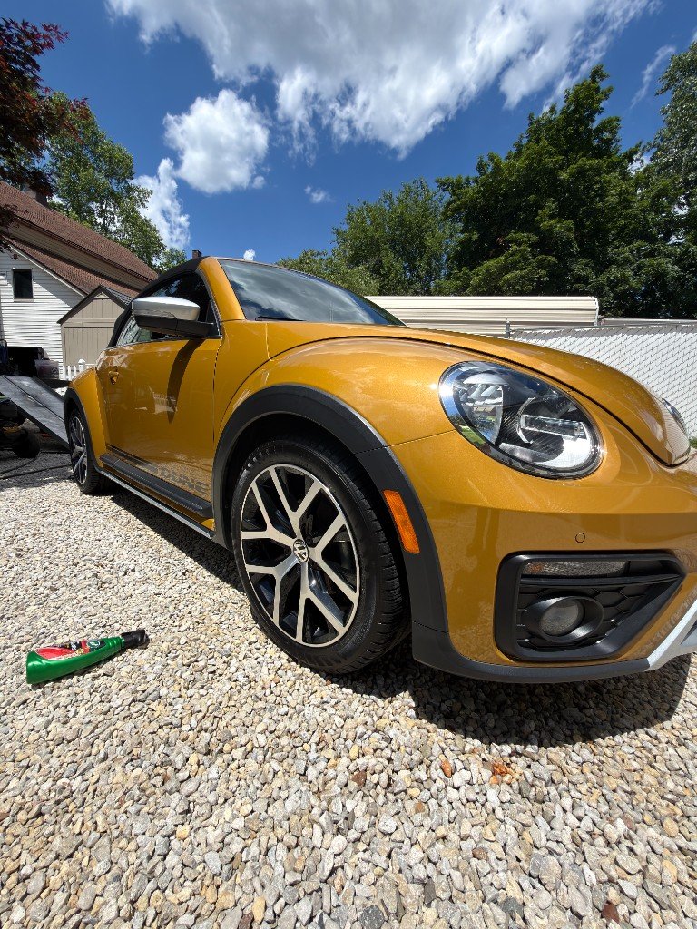Freshly detailed Volkswagen Beetle gleaming in the sun